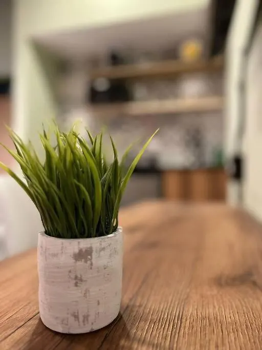 Apartmán Inmueble Cerca Al Estadio Nid204 By Roots Rentals Medellín Kolumbie